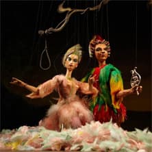 Die Zauberflöte - W. A. Mozart
