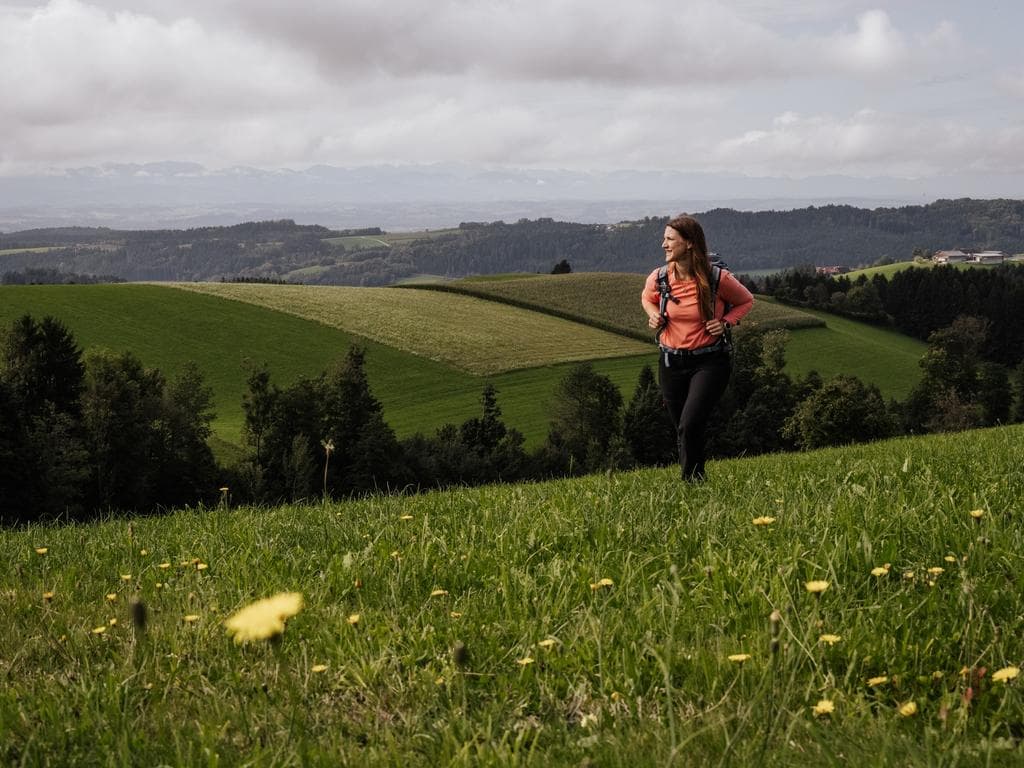 3 Orte. 1 Weg - "Wandern verbindet" in Schärding