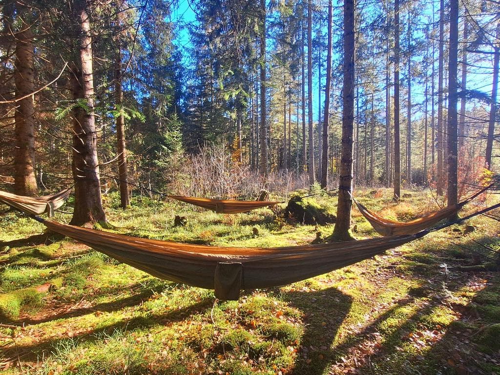 Waldmeditation in der Hängematte