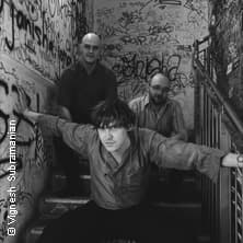 Ansa Sauermann Trio