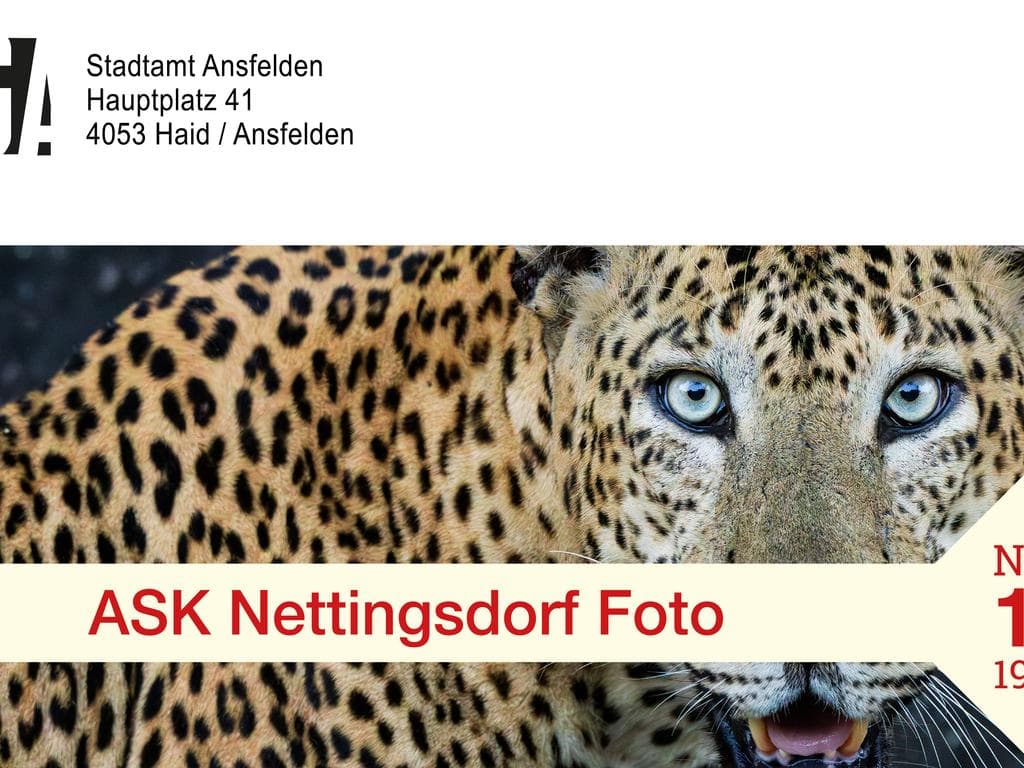 ASK Nettingsdorf Foto