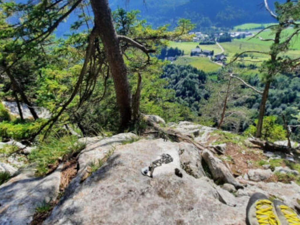 Taxus - Felsklettern am Plombergstein mit dem Alpenverein Mondsee