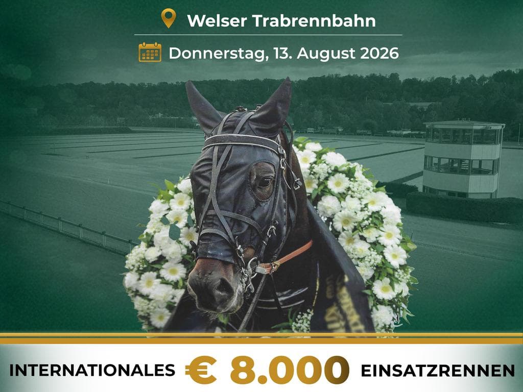 PMU Premiere Lunch Race - Trabrennen in Wels, 7. Renntag