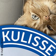 Die Katze im Sack - Kabarettistischer Überraschungsabend