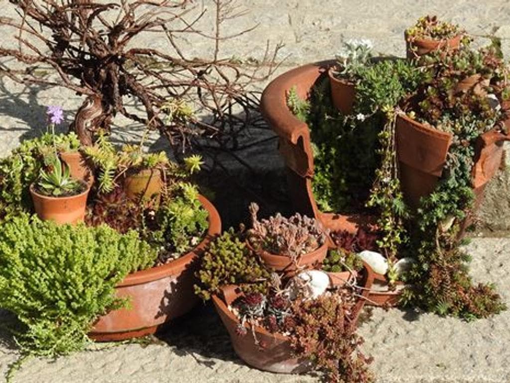 Miniaturgarten – eine Fantasielandschaft im Blumentopf