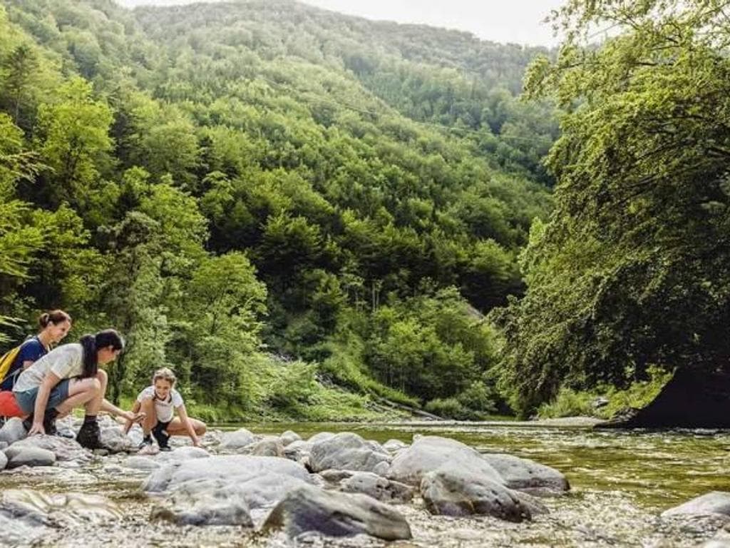 Nationalpark Erlebnistour für Kinder & Familien