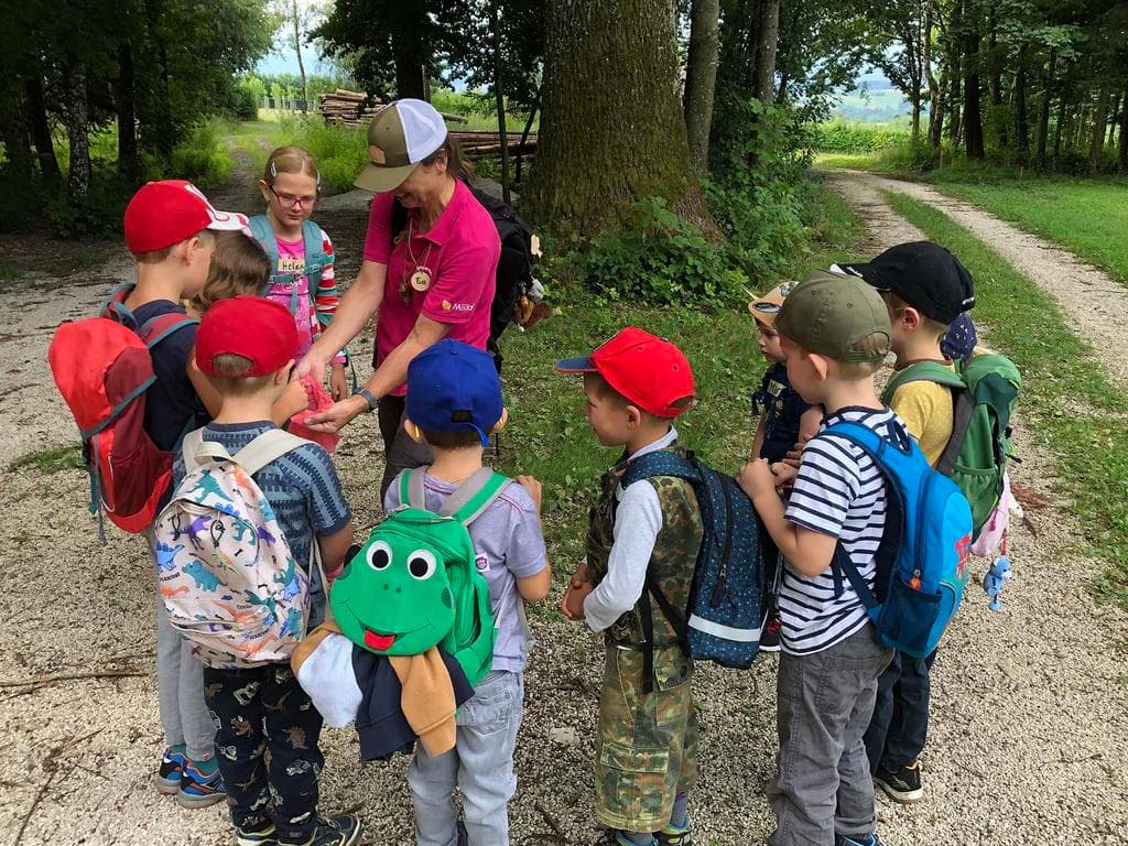 Entdecke die Superhelden in der Wunderwelt Wald!