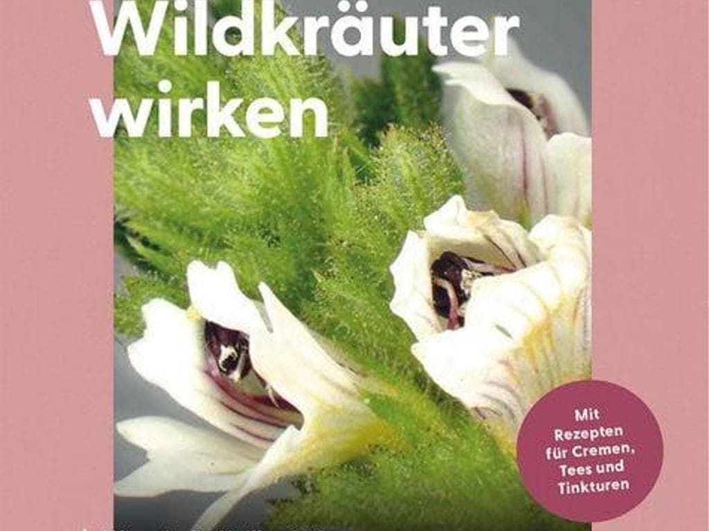 Die Macht der Kräuter - Kräuterexpertin Renée Schroeder im Gespräch mit Günter Kaindlstorfer