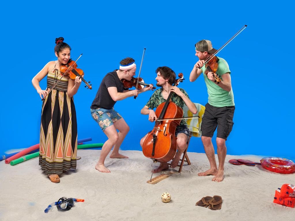 Musiksommer: Feuerbach Quartett - ABGESAGT