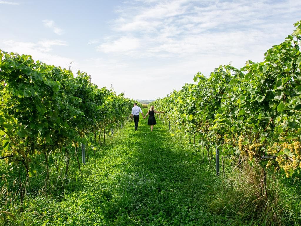 Wege zum Wein - mit Sturm im Glas