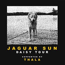 Jaguar Sun
