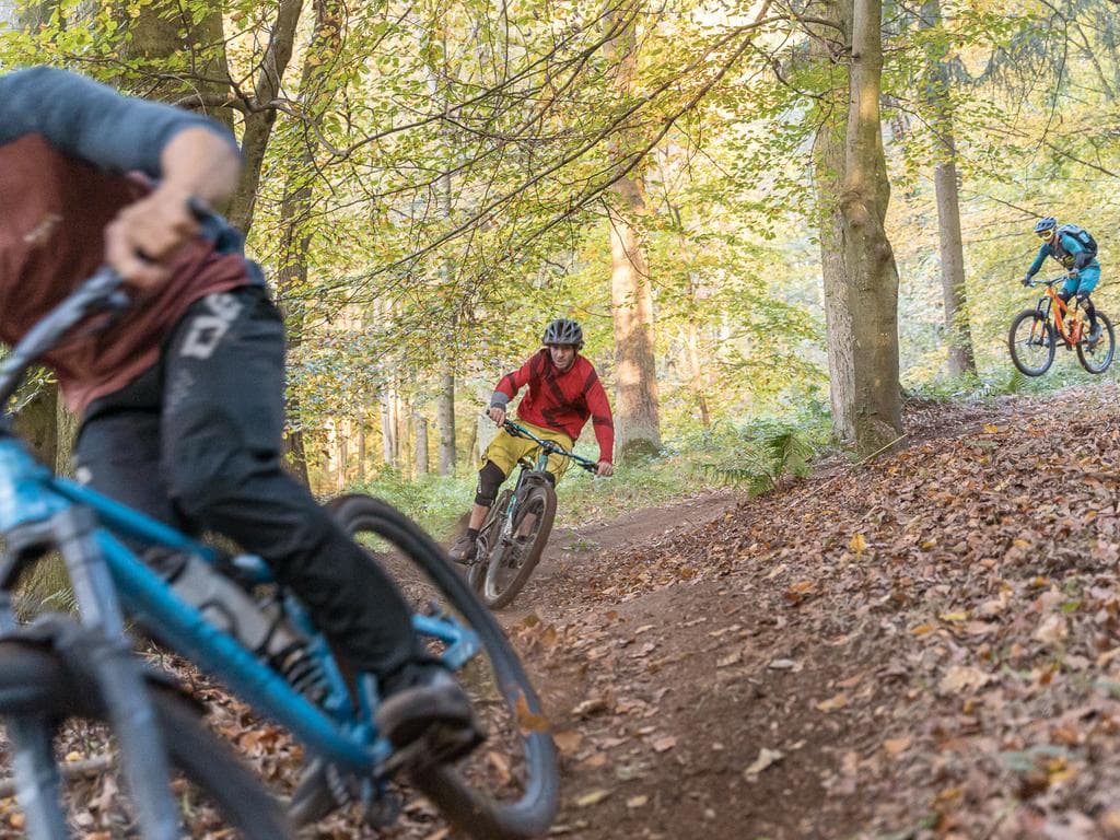 Pfenningberg-Trails | Mountainbike-Fahrtechnikkurse und Tourenguiding auf den UpperTrails MTB-Strecken