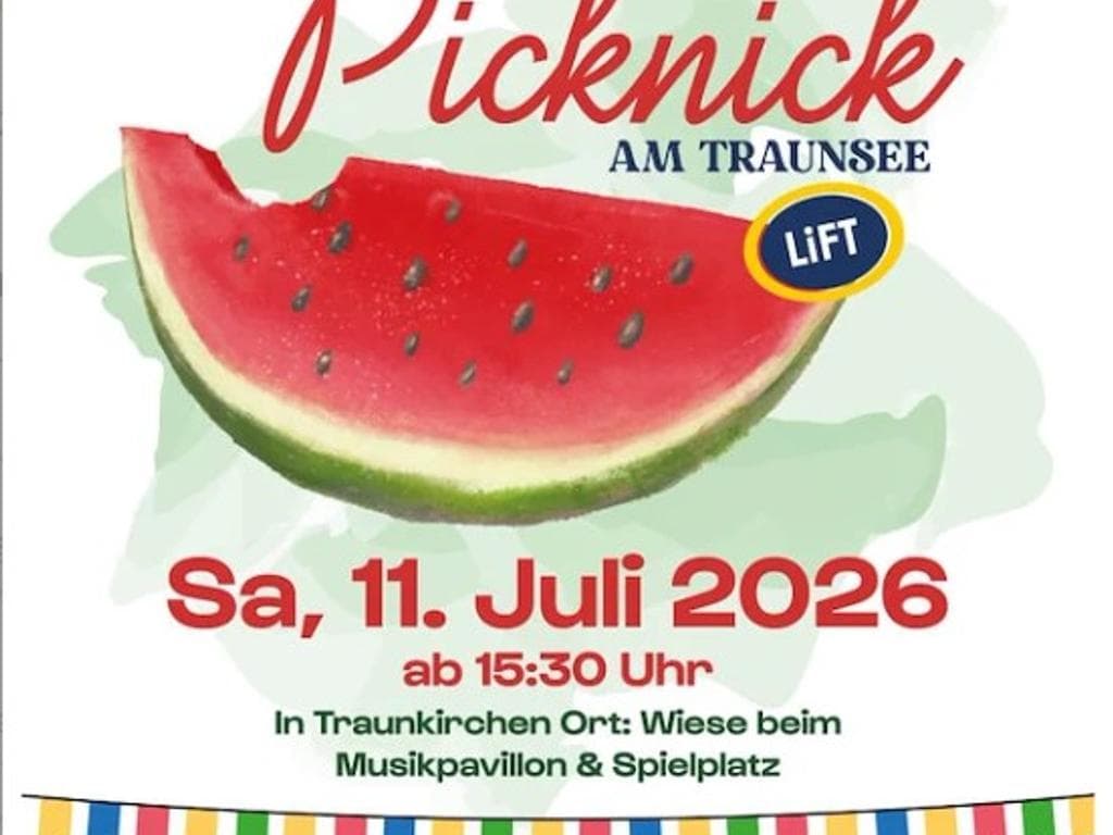 Sommerpicknick am Traunsee