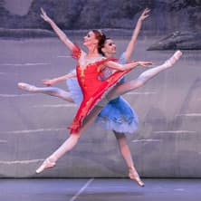Dornröschen - Der beste Ballett- Klassiker aller Zeiten