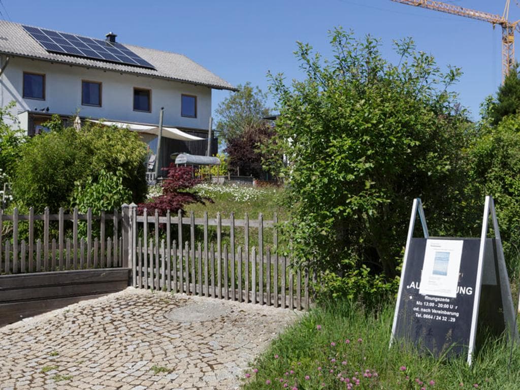 Ausstellung Walter Kainz »Am Rande des Gartens – rosiger Schatten«