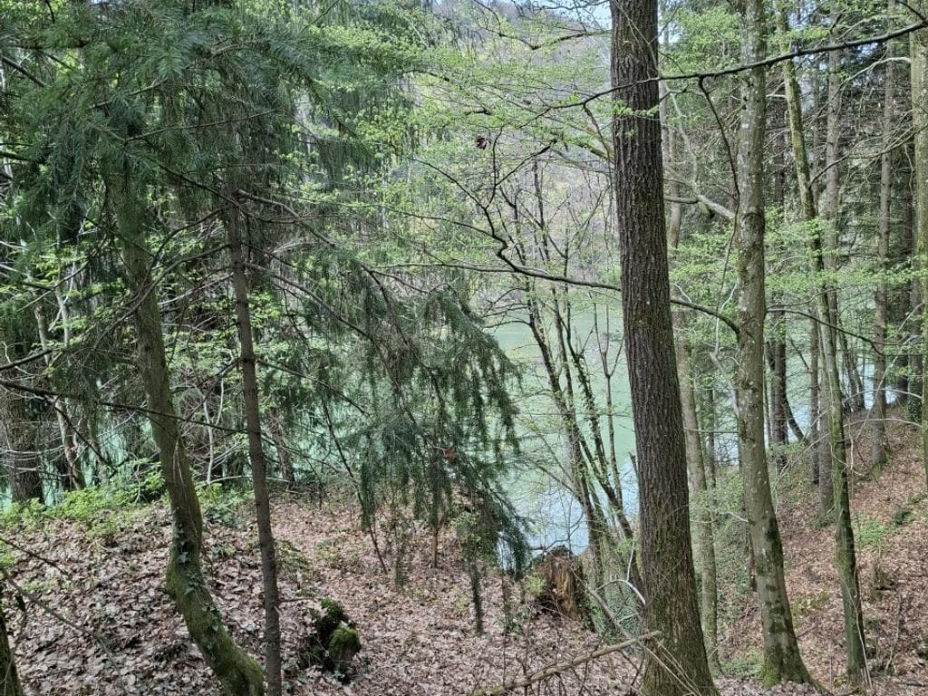 Pilgerwanderung: Von der Natur zur Zeit der Sommersonnwende pilgernd berühren lassen