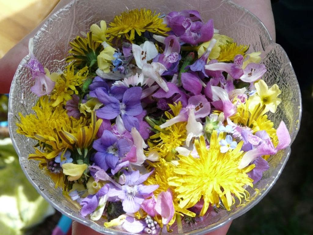 Kräuterführung "Magie und Heilkraft der Sommerkräuter zum 15. August, Großer Frauentag"