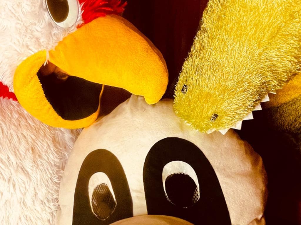 BUNTE BRISE | Bum Bum Tschak - Rockkonzert für Kinder
