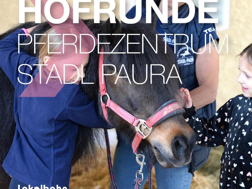 Hofrunde + Springturnier im Pferdezentrum Stadl-Paura