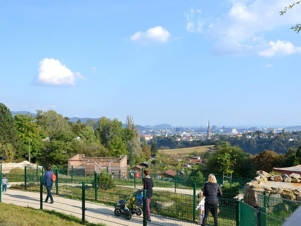 Zoo-Fotografie für Anfänger (Spiegelreflexkamera)