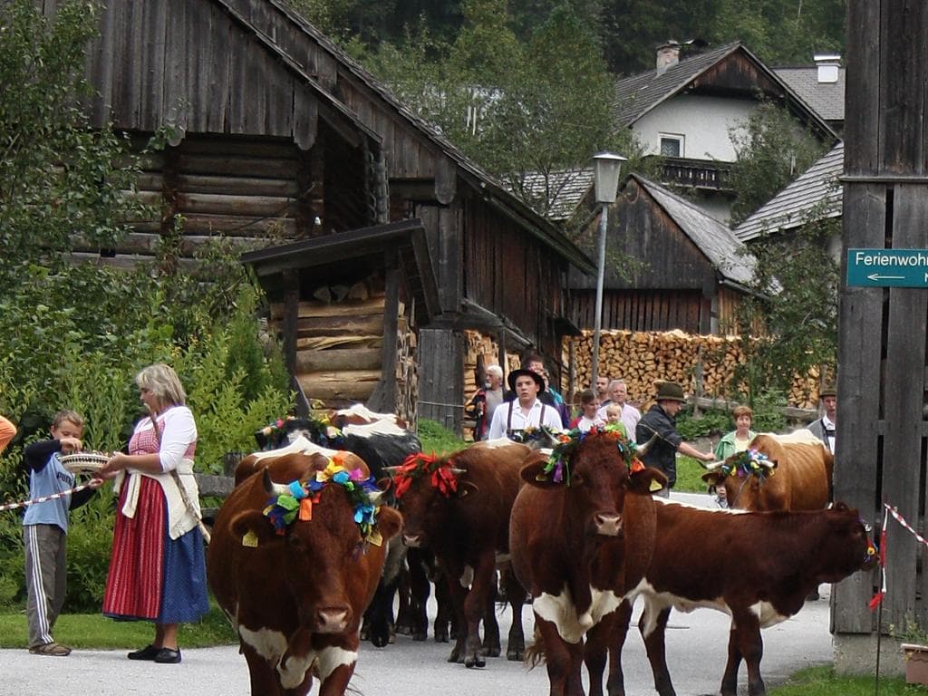Almabtriebsfest - Moosalm