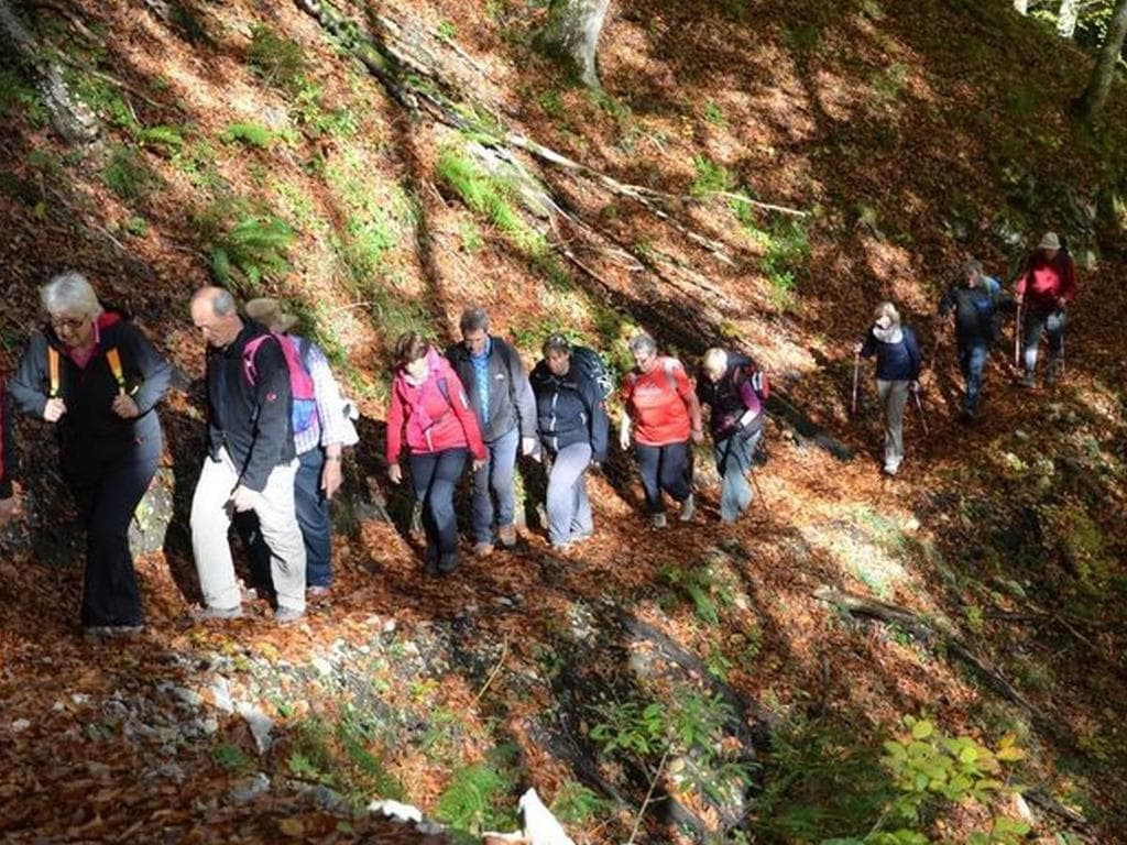 UNESCO Welterbe Tour: Wildnistrail Buchensteig