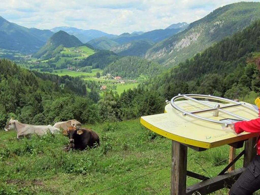 Am Natur-Spuren-Weg zum Panoramaturm Wurbauerkogel