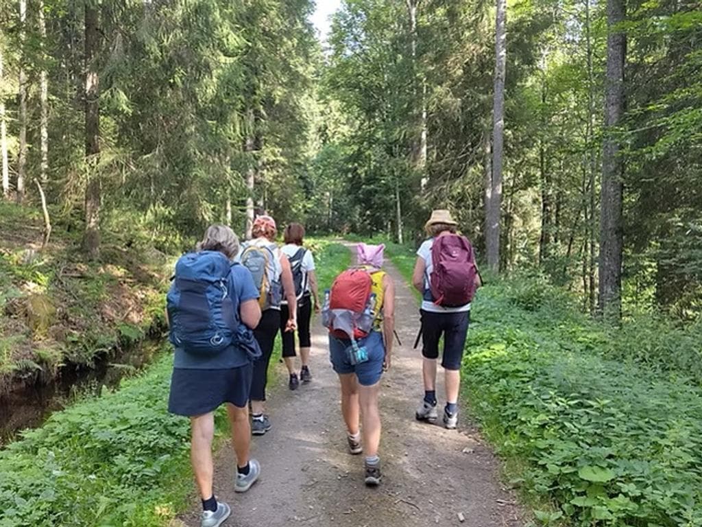 Waldbaden im Böhmerwald - Auszeit in der Natur