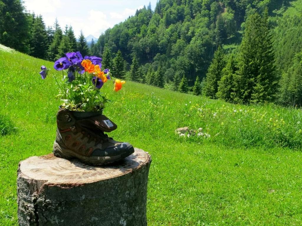 Großer Löffler mit dem Alpenverein Mondsee