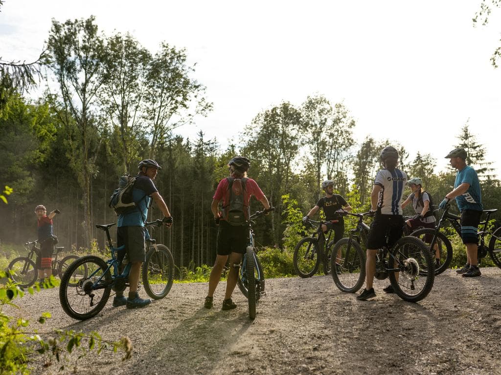 Mountainbiken am Schellenberg