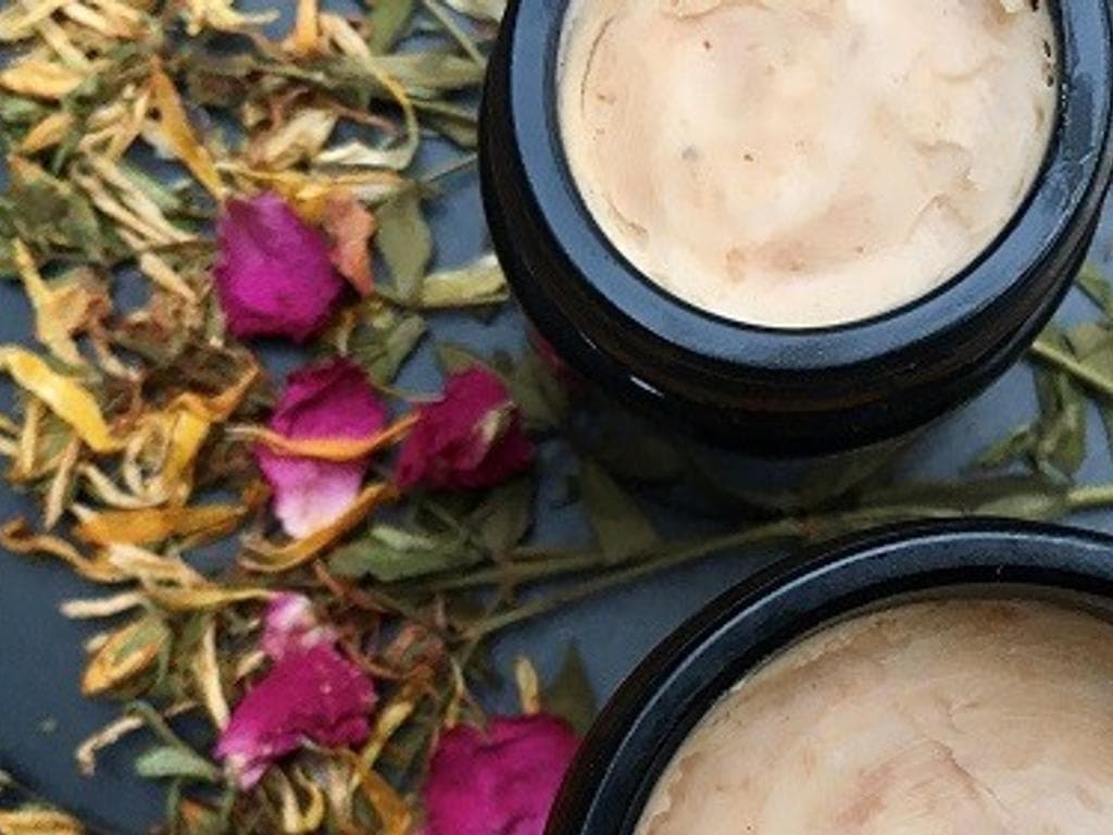 Tinkturen und Salben – Pflanzenkraft im Winter