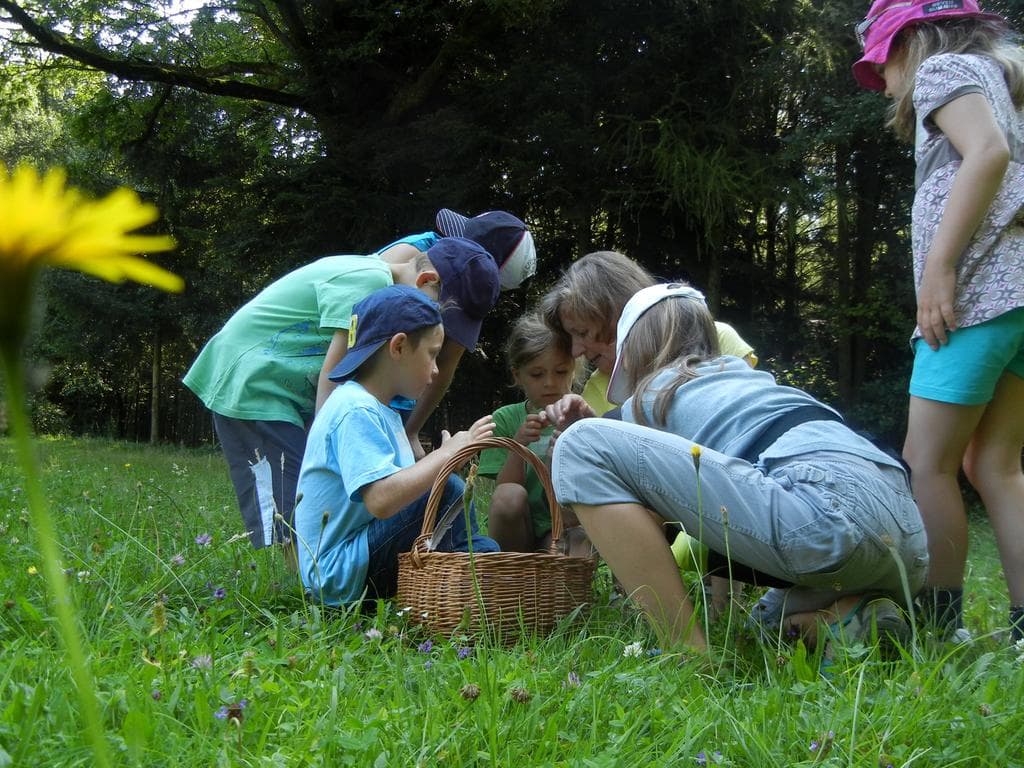 Oö. Naturparke-Familienerlebnistag