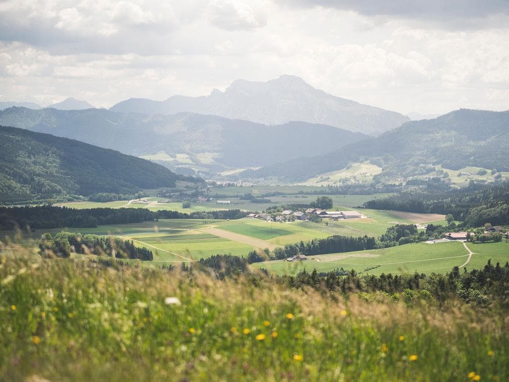 Planenrutschen des Vereins Feirohmndbia Straß im Attergau