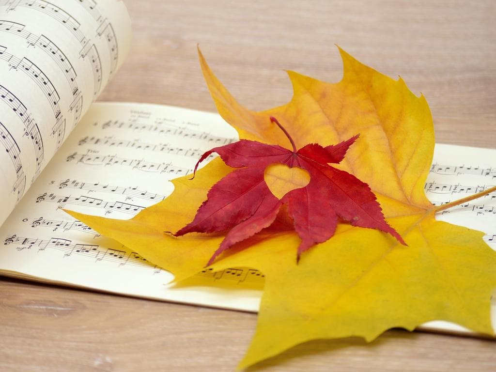 Herbstkonzert der TMK Schneegattern