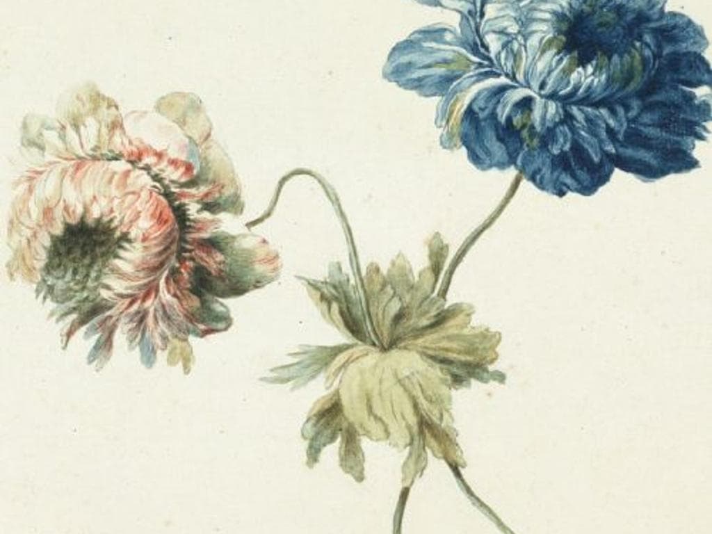 Grafische Schätze aus der Sammlung Kastner