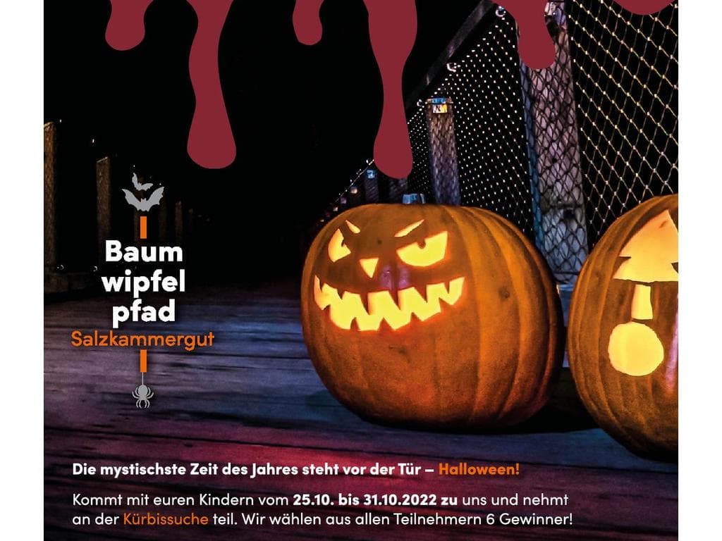 Halloween und Kürbissuche auf dem Baumwipfelpfad