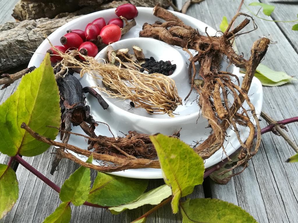 Räuchern & Räucherrituale