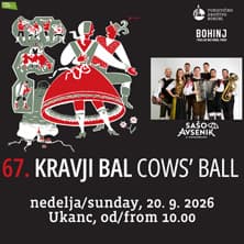 67. Tradicionalni Kravji bal v Bohinju