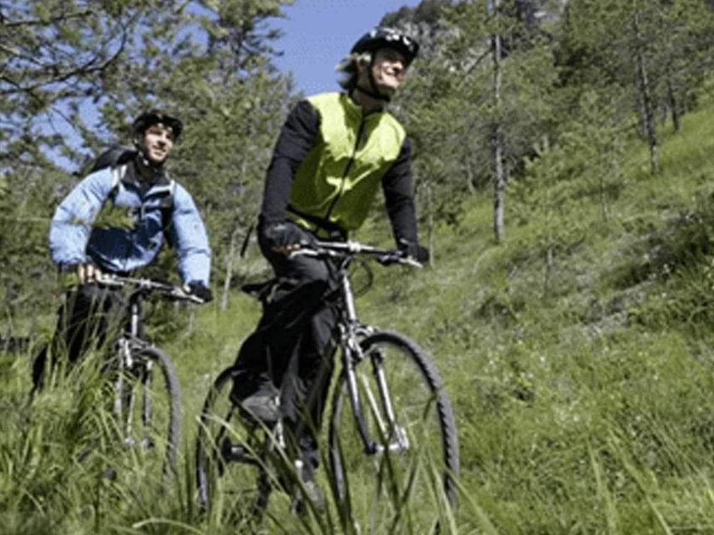 Bike & Hike zur höchsten Tanne im Nationalpark
