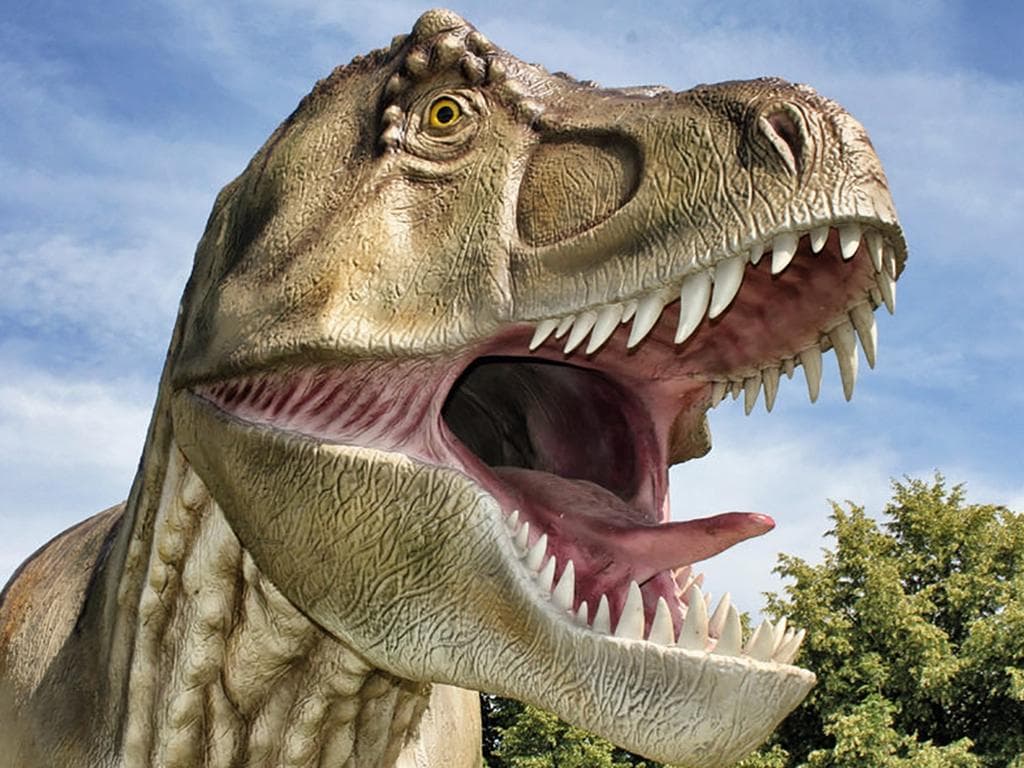 DINOLAND Schloss Katzenberg