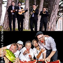 Feldbacher Sommerspiele 2026 - Die Strottern & Blech