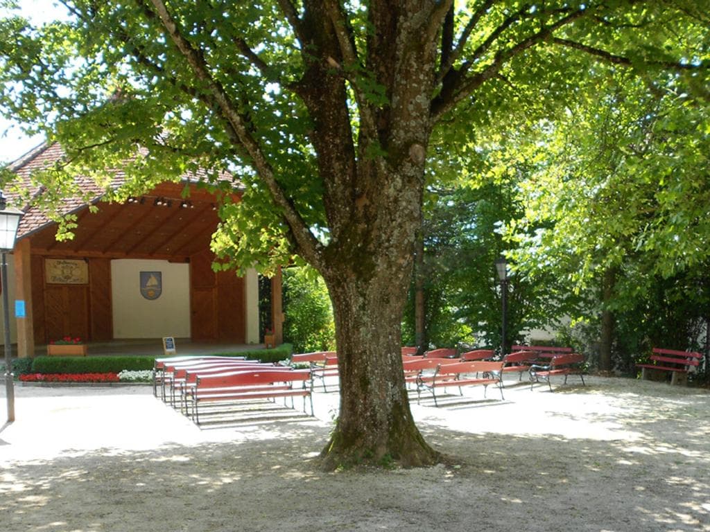 Pavillonfest - Musikverein Nußdorf a.A.