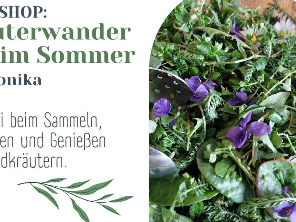 Kräuterwanderung im Sommer