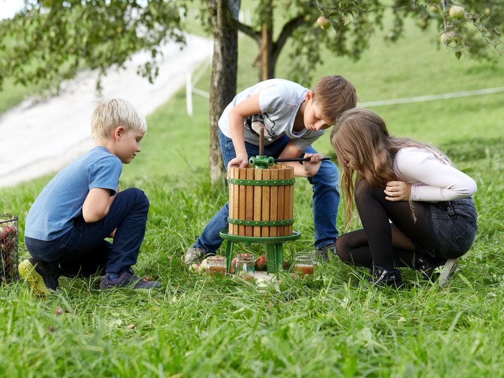 Schlaraffenland Streuobstwiese