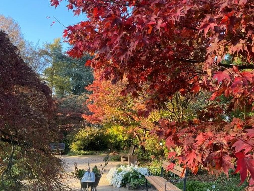 Den Herbst erleben