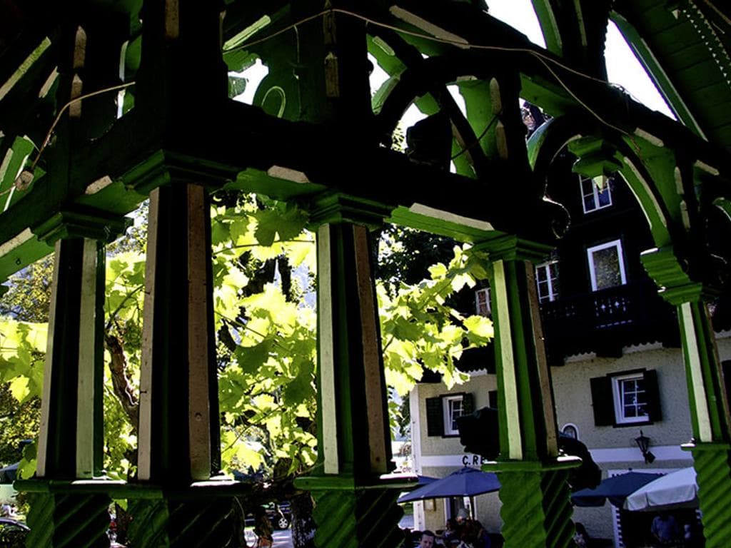 Wildwochen im Gasthof See