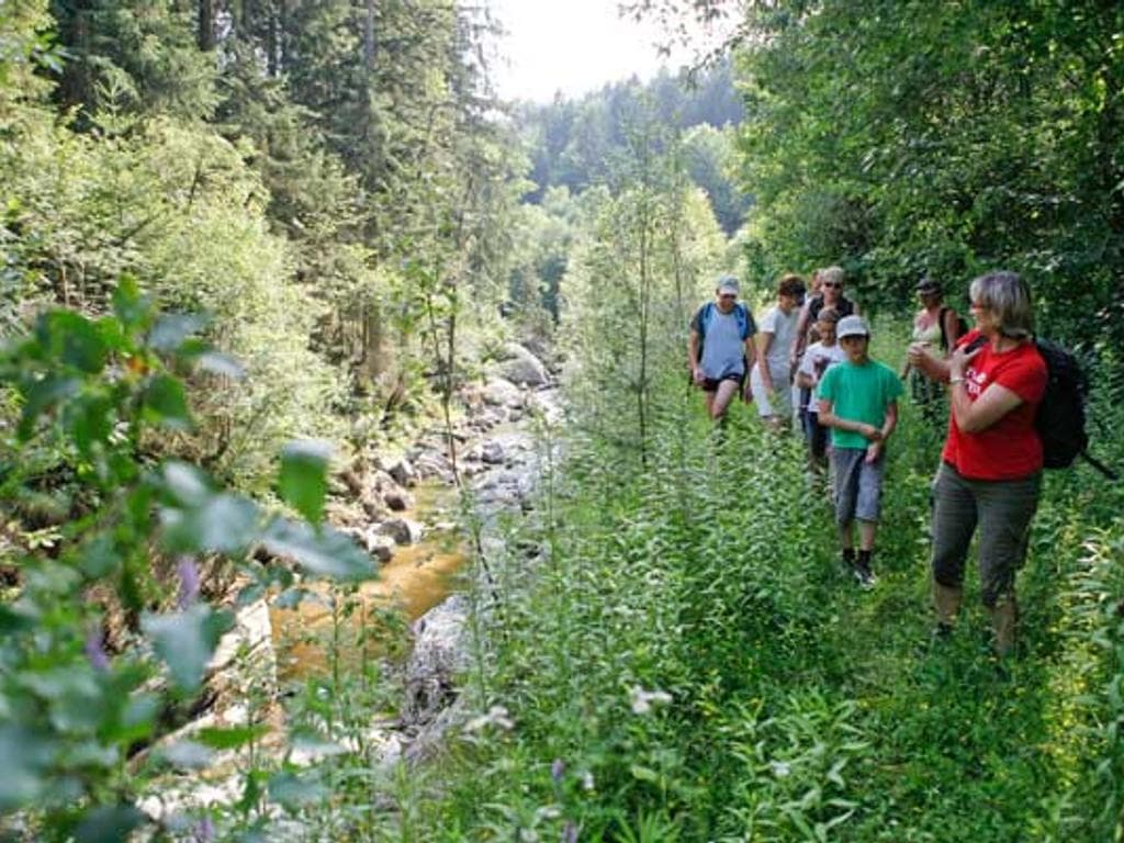 Naturschauspieltour - Vom Lebensquell ins Naarntal