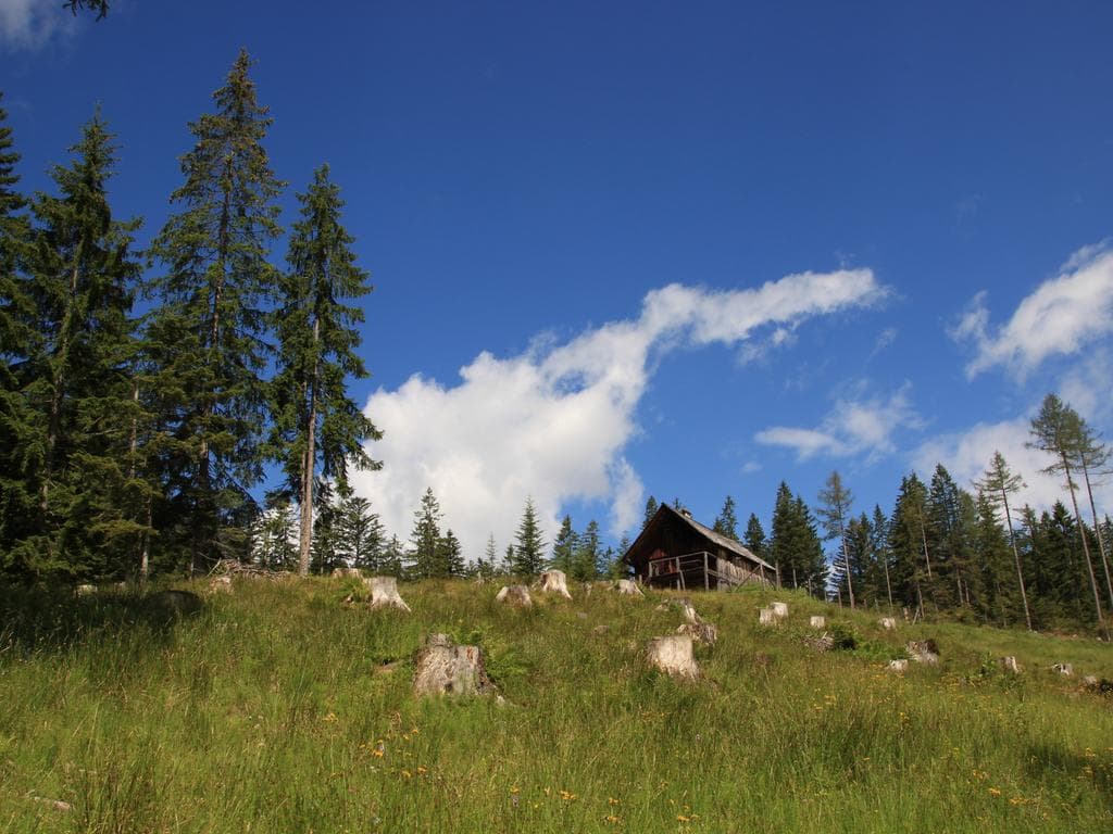 Bergmesse und Almfest auf der Rossmoosalm