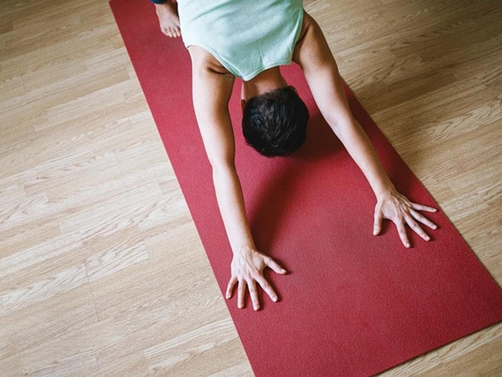 Yoga fit durchs ganze Jahr - Gesundheitsyoga
