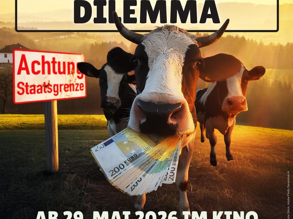 KINOFILM: DAS KUAHSTADT DILEMMA